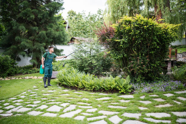Best Affordable Pest Control Services  in Springville, AL