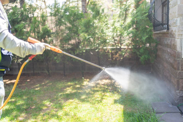 Best Pest Removal Services  in Springville, AL