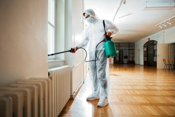 Best Pest Prevention Services  in Springville, AL